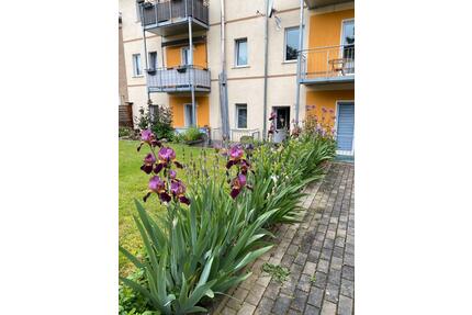 Attraktive bezugsfertig Eine Zimmer-Wohnung mit Balkon & EBK - Groitzsch