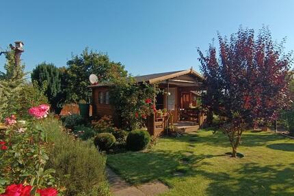 Freizeitgrundstücke zur freien Nutzung mit viel Potenzial - Müncheberg