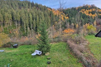 Wohnung in Finsterbergen zu vermieten - Friedrichroda
