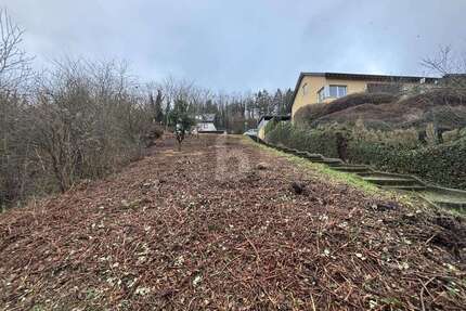 Grundstück zu verkaufen in Lieser 120.000,00 € 1173 m²