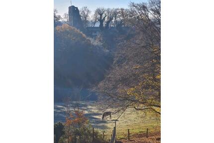 Ferienwohnung mit Blick in die Natur! - Würselen
