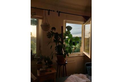 2 Zimmer Wohnung am Fürther Wiesengrund ab 15.4