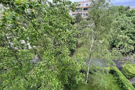 Wohnung zum Kaufen in Hochheim am Main 209.000,00 € 63 m²