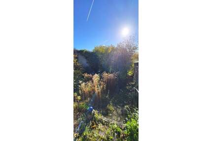 Seltene Gelegenheit - Grundstück in Hanglage im Herzen von Plaidt