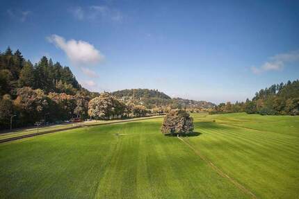 Modernisiertes 4-Fam.Haus Bj. 1890 + Fabrik-Loft-Etage + viele neue Details + 405qm WNF + 528qm GS + Gartenhs + Paradiesgarten + ideal f. Aufteilg - Freiburg im Breisgau Günterstal