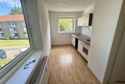 Wohnung zum Mieten in Salzgitter 330,00 € 52 m²