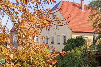 Haus zum Kaufen in Flonheim (Rheinhessen) 395.000,00 € 188 m²