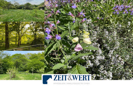 Grundstück in Kolverath - 19.900,00&nbsp;EUR Kaufpreis, ca.&nbsp; 0,00&nbsp;m&sup2; in Kolverath (PLZ: 56767)