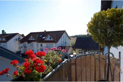 Stilvolle, gepflegte 2-Zimmer-DG-Wohnung mit Balkon in Baiertal - Wiesloch