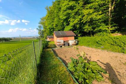 GARTEN ZU VERMIETEN SCHREBERGARTEN MIT GARTENHÄUSERN STÜCKLE - Ilsfeld