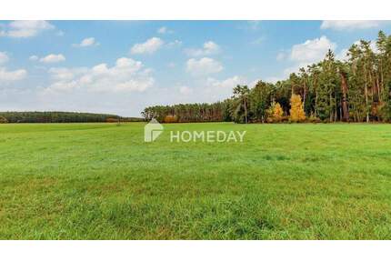 8,79 ha: Großflächiges Areal für Landwirtschaft, Forst und Neugestaltung - Abenberg Ebersbach