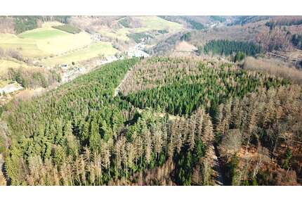 Grundstück in Lüdenscheid 414.000,00 € 229370 m²