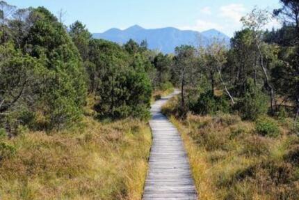 Haus, Halle, Lager, Büro, Gargagen, Garten, Stellpätze, Wohnhaus - Murnau am Staffelsee