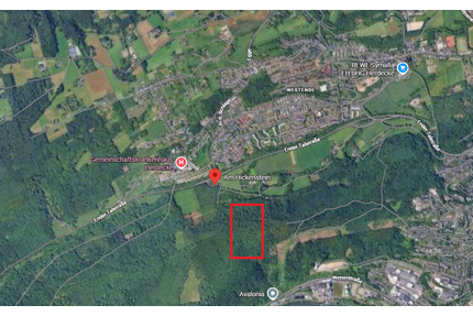 3,2 Hektar Wald Stadtrand Herdecke für Holzeischlag zu verpachten