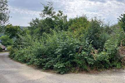 Grundstück zu verkaufen in Burbach 63.000,00 € 1704 m²