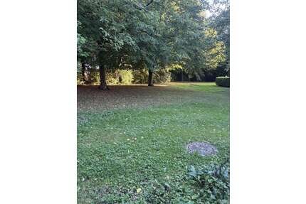 Haus zum Kaufen in Trier 279.500,00 € 78 m²