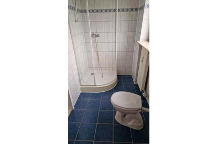 1 ZimmerMietwohnung - 260,00&nbsp;EUR Kaltmiete, ca.&nbsp; 33,00&nbsp;m&sup2; in Bechhofen (PLZ: 66894)