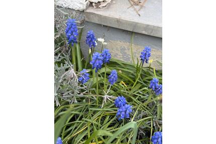 Kleine Zimmer Apartment - 600,00&nbsp;EUR Kaltmiete, ca.&nbsp; 20,00&nbsp;m&sup2; in Geretsried (PLZ: 82538)