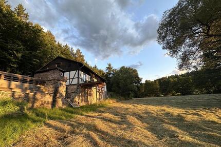 3-Zimmer-Wohnung in idyllischer Alleinlage in Groß-Bieberau – Natur pur