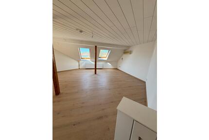 Helles großzügiges 1- Zimmer Apartment in Ludwigshafen - Mannheim Almenhof