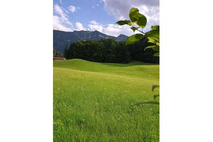 Sanierungsobjekt am Alpenrand im Chalet-Stil - Inzell