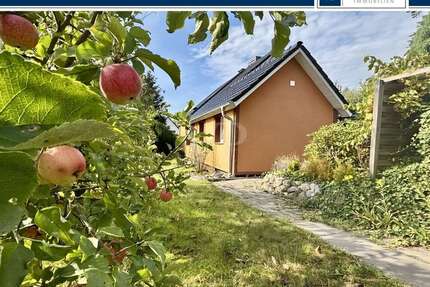 Haus zum Kaufen in Zernien 248.000,00 € 143 m²