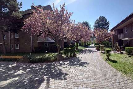 Wohnung zum Mieten in Bonn 735,00 € 50.67 m²