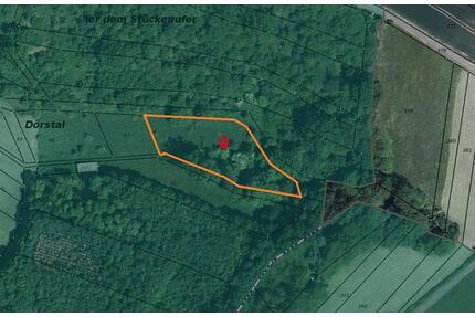 ***Landwirtschaftsfläche mit Wald in JützenbachDörstal Thüringen***PROVISIONSFREI - Sonnenstein