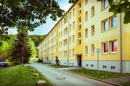 2-Raum-Wohnung im schönen Borntal - Sondershausen