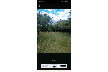 garten Kleingarten im KGV sonniges Land Rühme Braunschweig