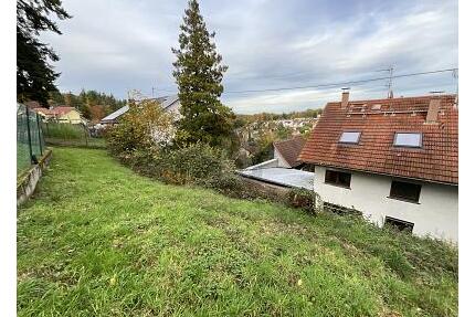 EIGENER TRAUM MIT TOLLEM BLICK INS TAL - Karlsruhe