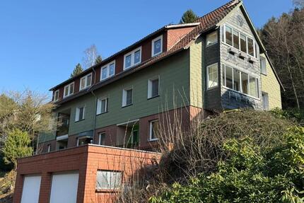 Ruhige 2Zi-Wohnung in Lautenthal-Langelsheim