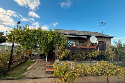 Pachtgarten im Kleingartenverein abzugeben - Weißenfels