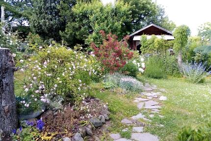 VIENENBURG Kleingarten in einer Anlage Nähe Bad Harzburg - Nordhausen