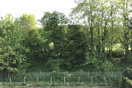Wohnung zum Kaufen in Osnabrück Schölerberg 189.000,00 € 75 m² - Osnabrück / Schölerberg