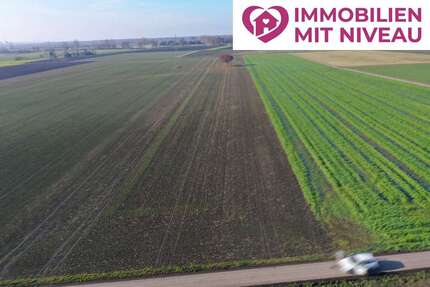 Grundstück in Lauingen 136.000,00 € 11349 m²