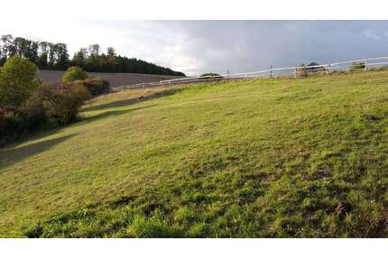 Grundstück zu verkaufen in Willebadessen 80.000,00 € 6979 m²