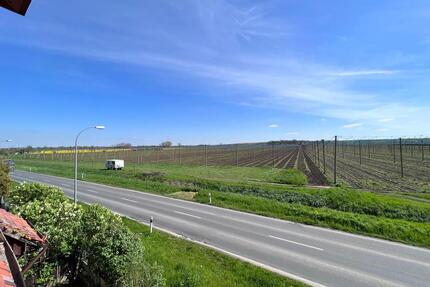 1 Monat Kaltmietfrei! Sanierte 2 Raumwohnung in Querfurt