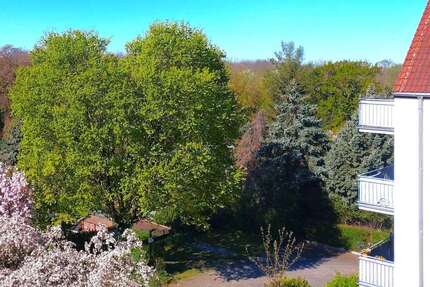 Wohnung zum Kaufen in Leipzig 299.100,00 € 98.88 m²