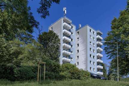 Wohnung zum Mieten in Siegen 309,00 € 55 m²