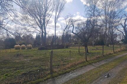 Gartengrundstück in Storkow (Mark)