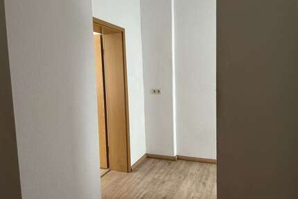 Wohnung zum Mieten in Zwickau 255,00 € 42 m²