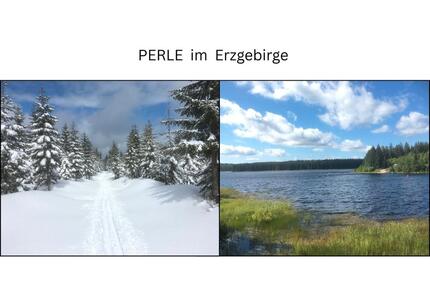 Perle im Erzgebirge: MFH | 7,43% Rendite aktuell – bald 10,8% ! - Eibenstock