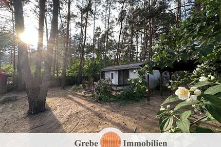 Grundstück zum Mieten in Zossen Neuhof 300,00 € 500 m² - Zossen / Neuhof