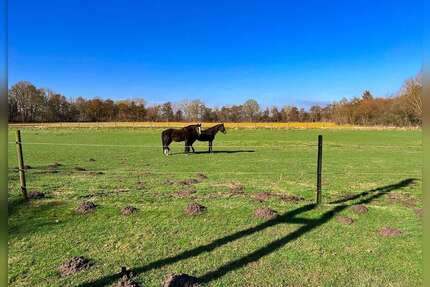 Haus zum Kaufen in Bocholt 939.000,00 € 426.32 m²