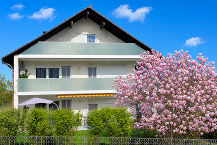 Haus zum Kaufen in Schöllkrippen 649.000,00 € 316 m²