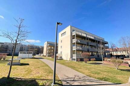 Wohnung zum Kaufen in Augsburg 290.000,00 € 56 m²