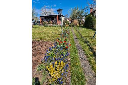 Pachtgarten - 1.500,00&nbsp;EUR Kaltmiete, ca.&nbsp; 0,00&nbsp;m&sup2; in Sondershausen (PLZ: 99706)