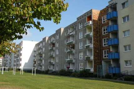 Wohnung zum Mieten in Stralsund 393,90 € 65.65 m²