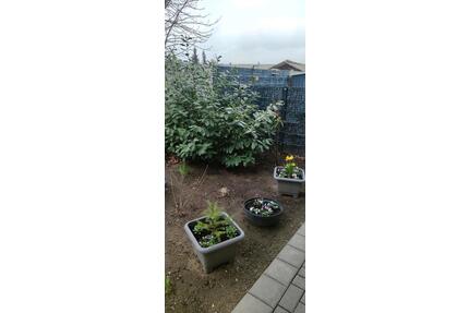 Wohnen wie im eigenen kleinen Haus! - Harsleben